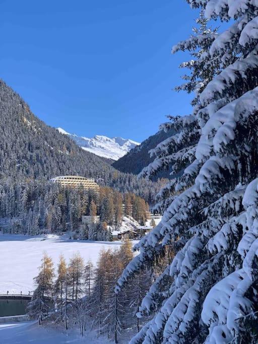 La Swiss Alps Apartment